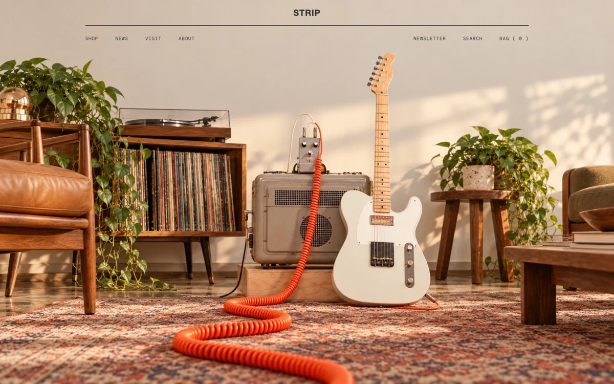 Strip: demo store on a computer